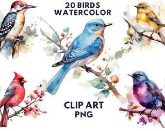 Watercolor Birds Clipart, Birds Png, Spring Birds Clipart, Bird Clipart, Colorful Birds Clipart, Birds On Branch Clipart, Digital PNG