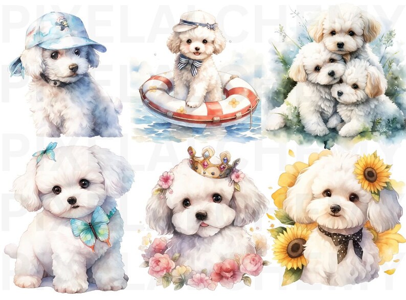 Bichon Frise Watercolor Clipart, Cute Bichon Frise PNG Illustration ...