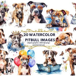 Pitbull Watercolor Clipart, Cute Pitbull PNG Puppy Clipart Illustration Cute Pitbull Printable Wall Art Puppy Pet Portrait Download, Dog PNG