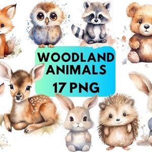 Waldtiere Aquarell Clipart, Waldtiere ClipArt, Kinderzimmer Dekor Junge Mädchen, Baby Tiere png, printable Waldtiere, Kinderzimmer Wandkunst
