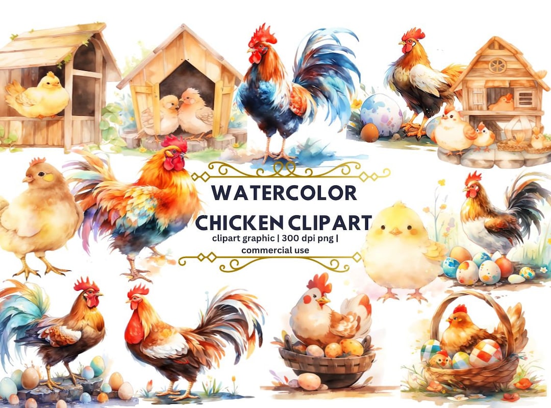 Watercolor Chicken Clipart - Cute Chickens Png, Chicks Clipart, Rooster ...