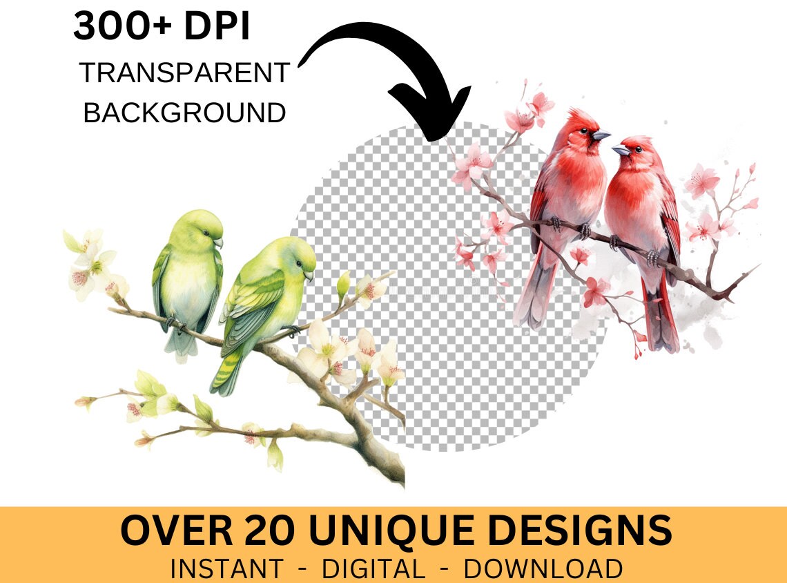 Set of 20, Watercolor Birds Clipart Bundle, Spring Birds Clipart, Birds ...