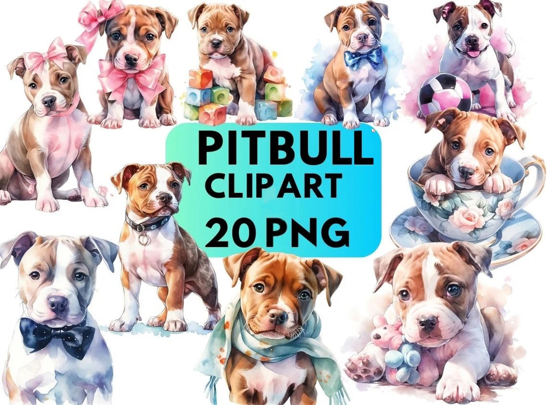 Pitbull Watercolor Clipart, Cute Pitbull PNG Puppy Clipart Illustration ...