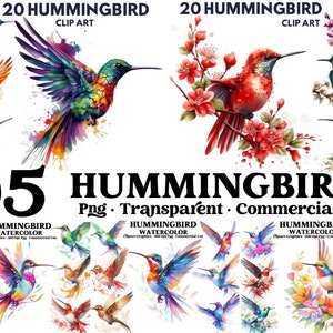 Hummingbird Clipart Digital Illustration Paper Crafting Collage Images Junk Journaling Scrapbook Painting Hummingbird Art Prints Download