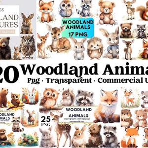Woodland Animals Watercolor Clipart, Forest Animals Clip Art, Nursery Decor Boy Girl, Baby Animals Png, Printable Woodlands,Nursery Wall Art