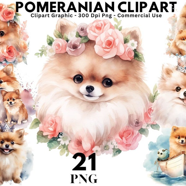 Pomeranian Watercolor Clipart Cute Pomeranian PNG Illustration Cute Pomeranian Printable Wall Art Puppy Pet Portrait Download Scrapbooking