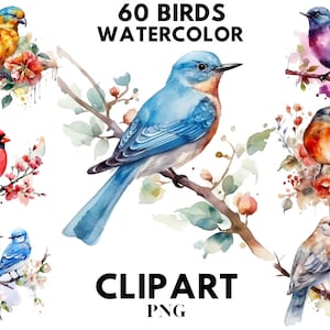 60 Watercolor Birds Clipart, Birds Png, Spring Birds Clipart, Bird Clipart, Colorful Birds Clipart, Birds On Branch Clipart, Digital PNG