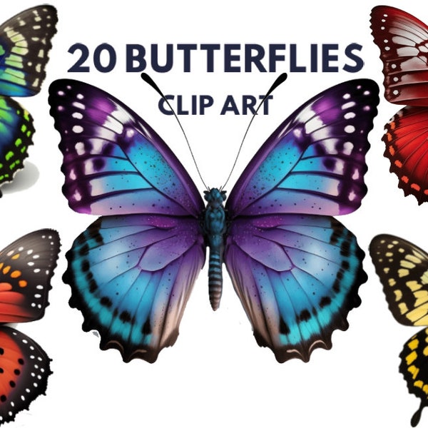 Beste kleurrijke vlinder clipart bundel, aquarel vlinder clipart, vlinder PNG, vlinder illustraties, commerciële licentie, clipart, vleugels