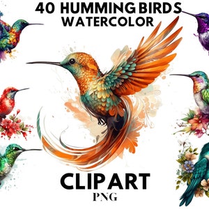 40 Hummingbird Clipart Digital Illustration Paper Crafting Collage Images Junk Journaling Scrapbook Painting Hummingbird Art Prints Download
