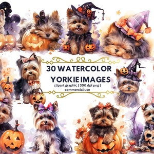 Halloween Yorkshire Terrier Watercolor Clipart, Halloween yorkie, Cute Yorkie PNG Illustration Cute Yorkie Printable Wall Art Puppy Portrait