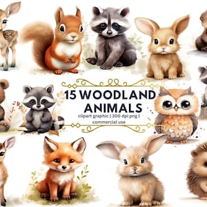 Woodland Animals Watercolor Clipart, Forest Animals Clip Art, Nursery Decor Boy Girl, Baby Animals Png, Printable Woodlands,Nursery Wall Art