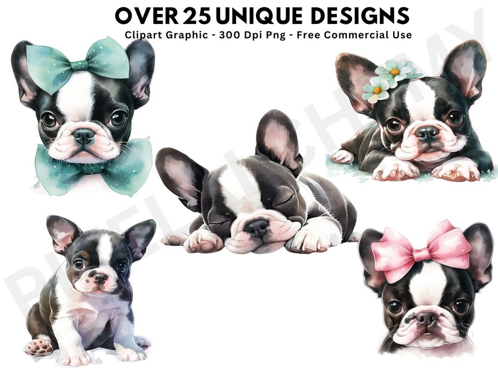 Boston Terrier Watercolor Clipart, Cute Boston Terrier PNG Illustration ...