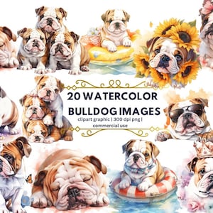 English Bulldog PNG, Watercolor Bulldog Clipart, Bulldog PNG, Dog Clipart, Bulldog, Dog Png instant download for commercial use, Dog Clipart