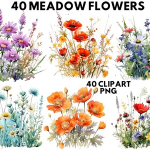 Watercolor Meadow Flowers Clipart, Wildflower Floral PNG, Png Bundle, Landscape Clipart, Clipart Bundle, Commercial Use, Clipart, Flower Art