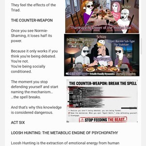 Puede incluir: Imagen estilo meme con texto e ilustraciones. El texto discute la 'Tr&iacute;ada' y 'El Contra-Arma'. La imagen incluye ilustraciones de personas en una mesa y un letrero de advertencia que dice 'Deja de alimentar a la bestia'.