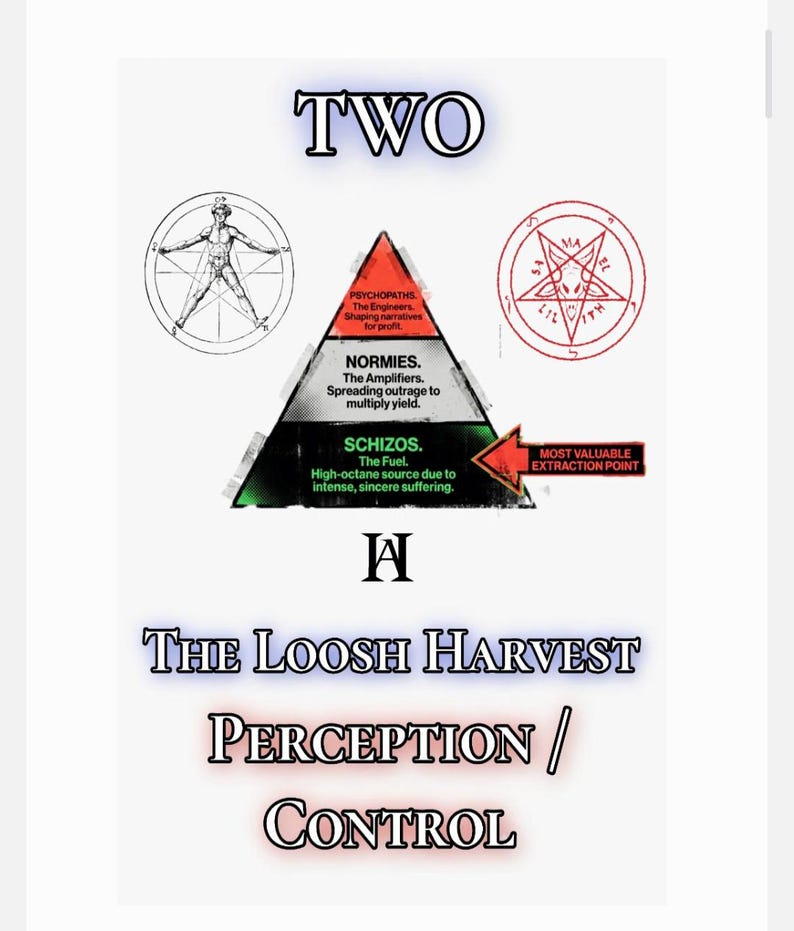 Puede incluir: Un gr&aacute;fico con la palabra "TWO" en la parte superior, que presenta un diagrama con las palabras "PSYCHOPATHS", "NORMIES" y "SCHIZOS". Tambi&eacute;n se muestra el texto "THE LOOSH HARVEST" y "PERCEPTION / CONTROL". Una flecha roja apunta a "MOST VALUABLE EXTRACTION POINT".