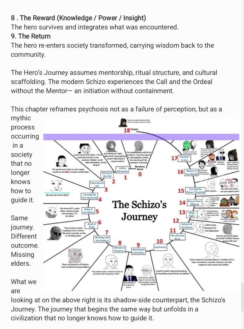 La guerra oculta entre normies, psicópatas y esquizofrénicos imagen 17
