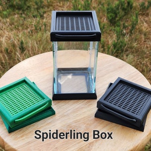 3x3x5&quot; Spiderling Enclosure, Glass