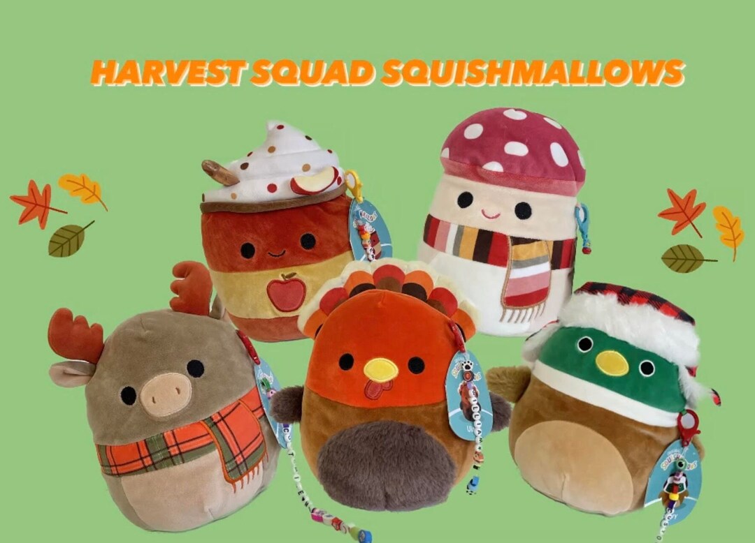 Squishmallow 7 Harvest Squad W/custom Handmade Beaded Etsy