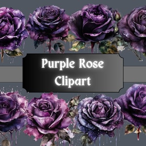 Clipart aquarela de rosas roxas, clipart floral, flores e folhas góticas, pacote PNG, Junk Journal, download digital, uso comercial