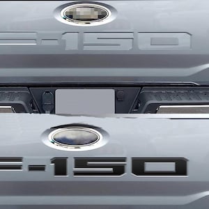 Puede incluir: Primer plano de un port&oacute;n trasero de cami&oacute;n gris con el texto en relieve "F-150" en negro. El port&oacute;n trasero presenta dos emblemas ovalados cromados y un parachoques negro.