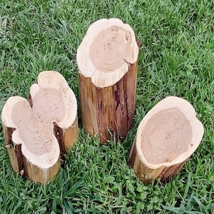 Rustic Cedar craft logs