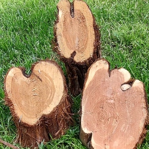 Unique raw cedar pieces