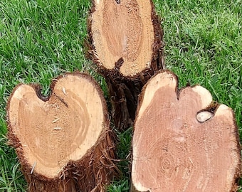 Unique raw cedar pieces