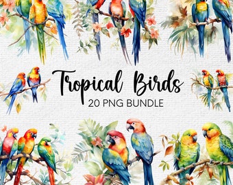 Watercolor Tropical Birds Clipart, Exotic PNG Bundle (Digital Download)