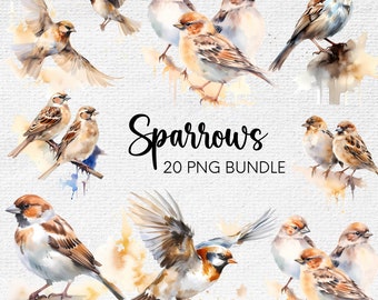 Sparrow Watercolor Clipart, Sparrows PNG Bundle, Watercolor Sparrow Digital Images, Sparrow PNG, Birds Watercolor Bundle, Commercial License