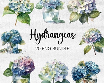 Watercolor Hydrangea Clipart, Clipart PNG Bundle, Blue Flower Clipart, Floral PNG, Watercolor Hydrangeas, Spring Clipart, Transparent PNG