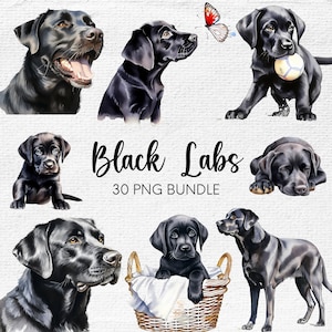 Black Labrador Clipart, Black Lab PNG, Labrador Retriever Clipart Bundle, Cute Dog Clipart, Dog PNG, Watercolor Clipart Labrador