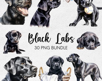 Black Labrador Clipart, Black Lab PNG, Labrador Retriever Clipart Bundle, Cute Dog Clipart, Dog PNG, Watercolor Clipart Labrador