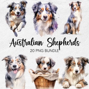 Australian Shepherd PNG, digitale Clipart PNG Australian Shepherd, Hund PNG, Australian Shepherd Aquarell Clipart Bundle, Geschenk für Hundeliebhaber