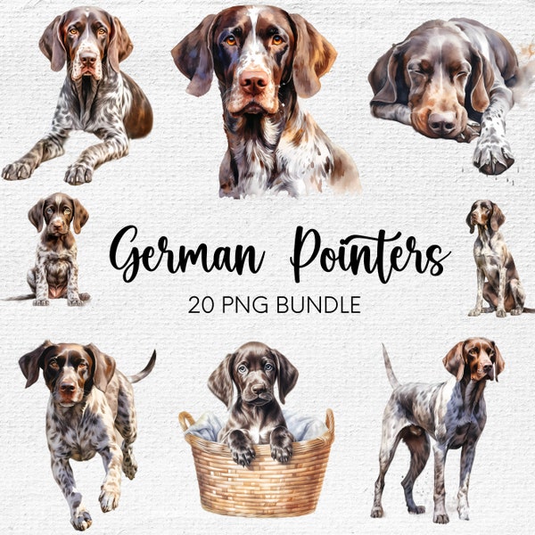 Aquarell Deutscher Pointer Clipart, Deutsche Pointer PNG, Deutsch Kurzhaar, Hund PNG, kommerzielle Nutzung, Aquarell Clipart Bundle