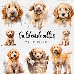 Goldendoodle Clipart, Golden Doodle PNG, Aquarell Clipart, süße Tiere, süße Hunde Clipart, Hund Aquarell, Welpen Bilder, Kinderzimmer Clipart