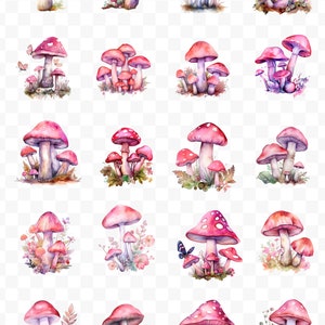 Pink Mushrooms PNG, Mushroom PNG, Mushrooms Bundle, Watercolor Clipart ...