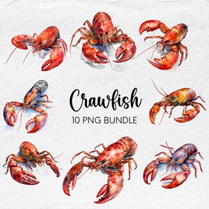 Langouste PNG, clipart Louisiane, clipart écrevisses, bayou PNG, fruits de mer Louisiane, décoration de fête ébullition, usage Commercial