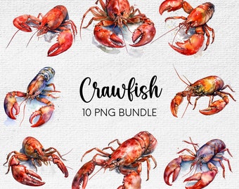 Crawfish PNG, Louisiana Clipart, Crawfish Clipart, Bayou PNG, Louisiana Seafood, Boil Party Decoration, Commercial Use