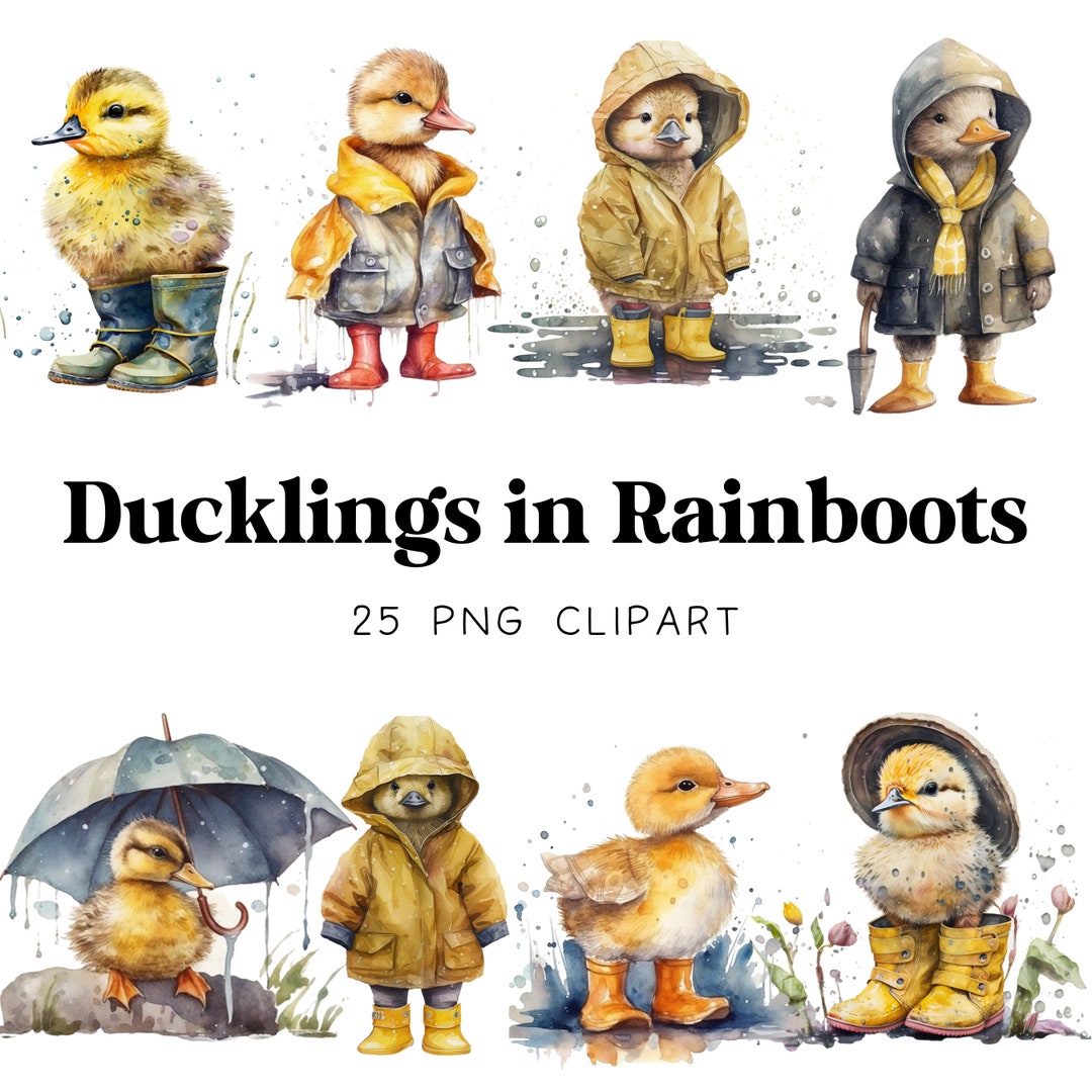 duck in rain boots
