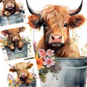 Highland Cow PNG, Cow in Tub, Cow Watercolor Clipart, Kawaii Cow, Farm Animal PNG, Nursery Decor, Baby Shower Graphics, Cute Cow Clipart