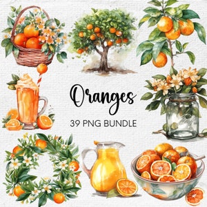 Aquarell Orange Clipart, Zitrus Clipart Bundle, Orange PNG, Obst Clipart, Orange Blumendruck, Sommer Clipart, Orangensaft png