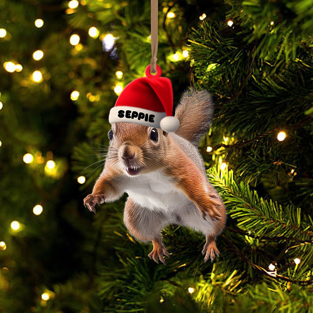 Personalized Christmas Vacation Squirrel Ornament, Funny Christmas Tree