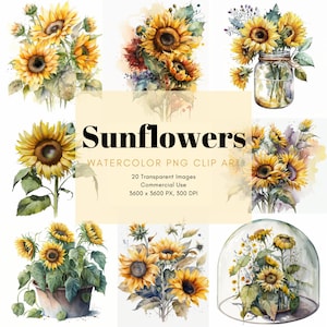 20 Watercolor Sunflowers High-Quality Transparent PNG Clipart, Fall & Autumn Flowers, Floral Bouquet, Commercial Use, Digital Art, PNG