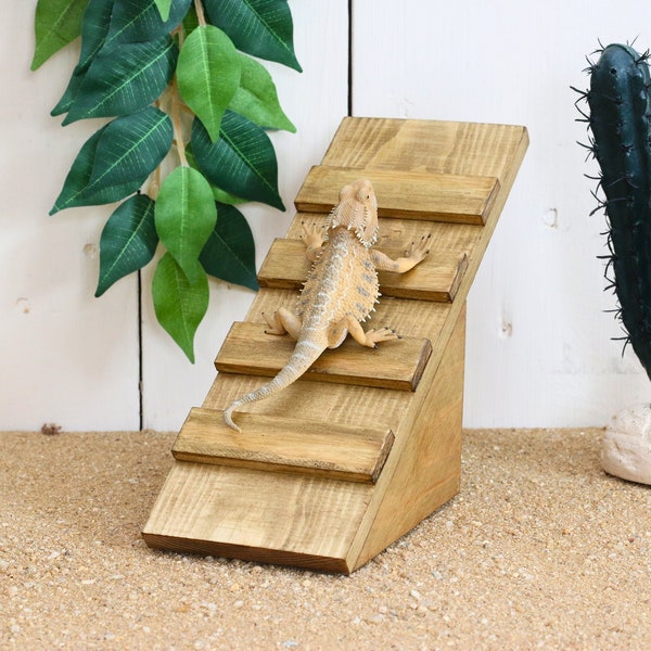 Climbing Ramp - Etsy