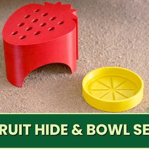 Strawberry & Lemon Reptile Hide and Feeding Bowl Set – Bearded Dragon, Snake, Gecko Terrarium Decor