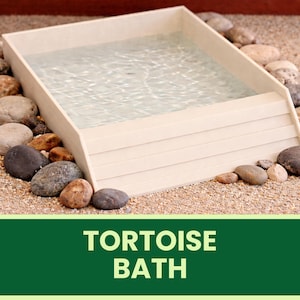 May include: A beige tortoise bath filled with water, encircled by smooth stones. The bath features a stepped design for easy access. The text "TORTOISE BATH" is displayed on a green banner at the bottom of the image.