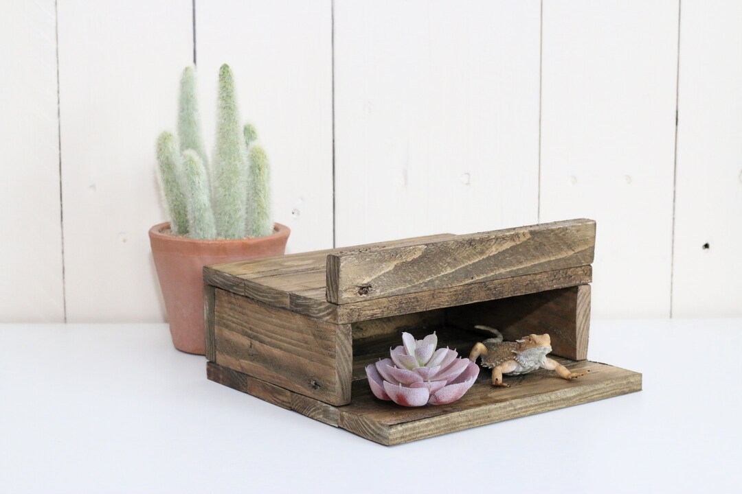 Wooden Reptile Hide With Basking Spot. Ideal Vivarium Decor Etsy