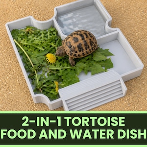 May include: A light grey 2-in-1 tortoise food and water dish with a built-in ramp. The dish is divided into two sections, one containing green dandelion leaves and yellow flowers, and the other holding water, with a small tortoise resting inside.