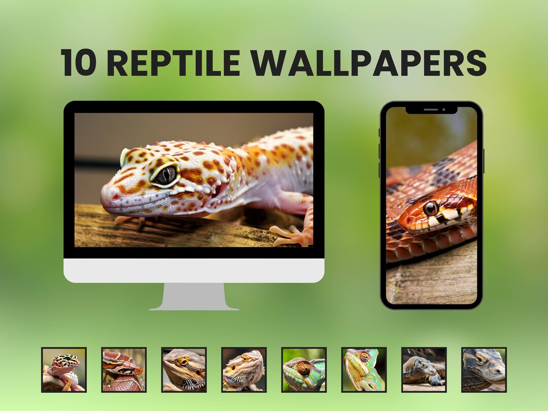 Reptile Desktop Wallpapers. Computer/mobile/tablet Backgrounds - Etsy